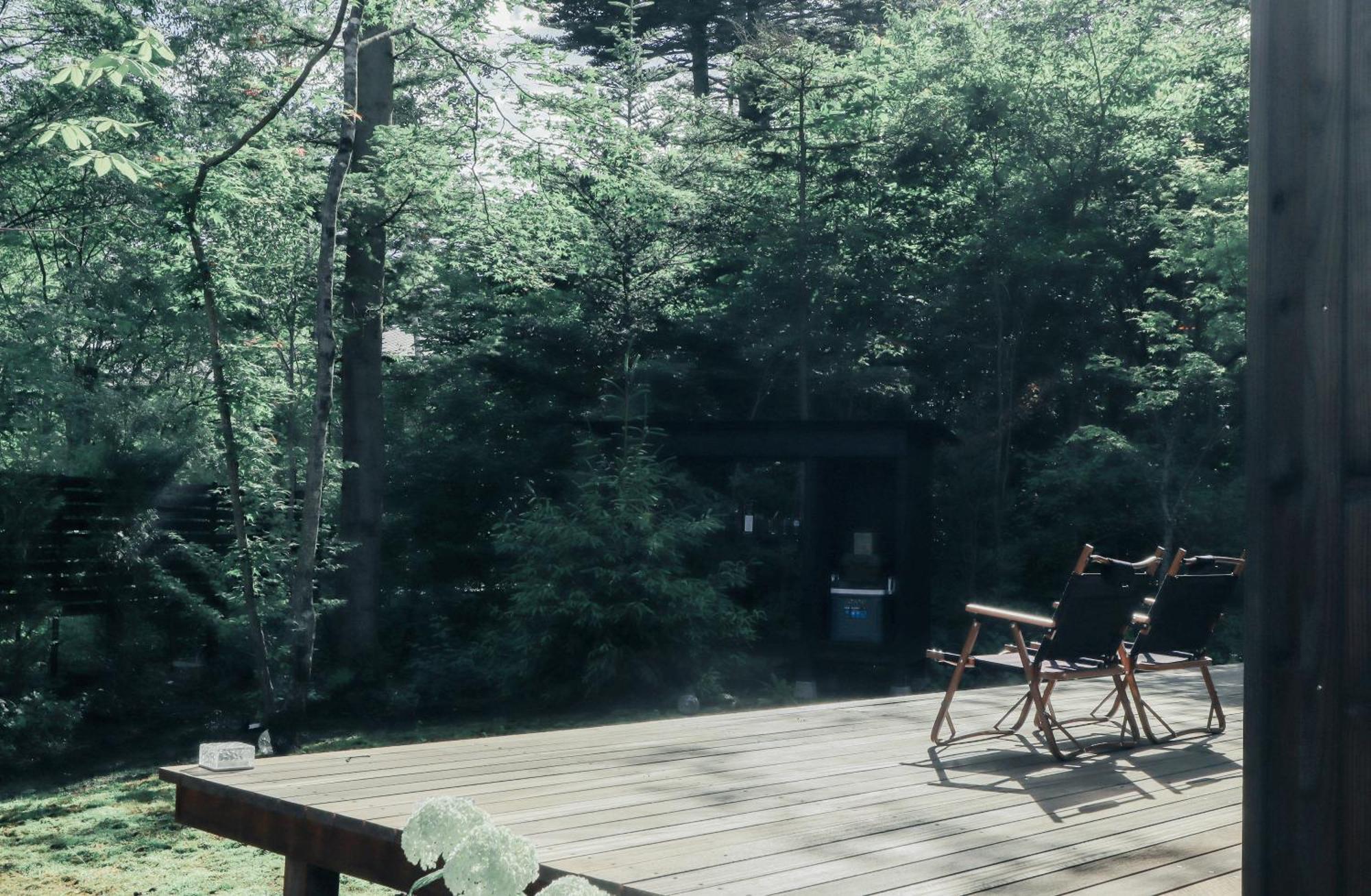 Forest Seasons